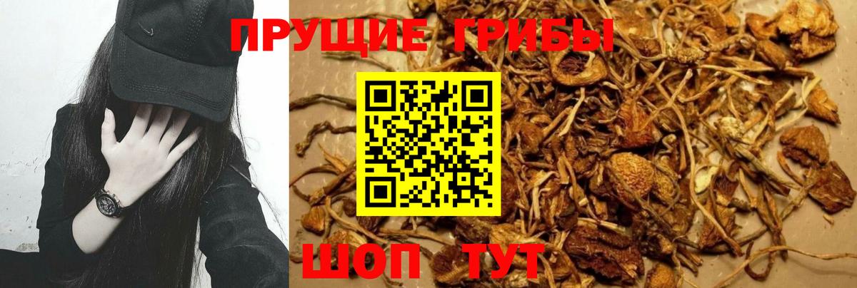 Галлюциногенные грибы Cubensis  Вход с VPN  Псилоцибиновые грибы ЛСД  Туапсе 